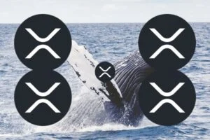 These XRP Whales’ Actions Show a Major Breakout Is Coming