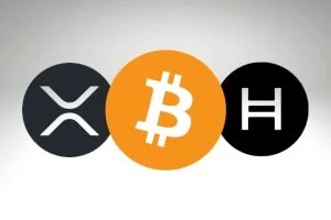 Uphold CEO Has Big News for XRP, HBAR, and Bitcoin Holders