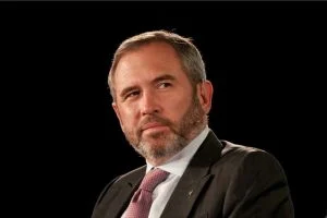 XRP Army Reacts As Ripple CEO Says Don’t Bet Everything On XRP