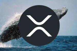 Pundit: Seems XRP Whales Know BlackRock Is Coming: See the Sell Wall They Have for XRP